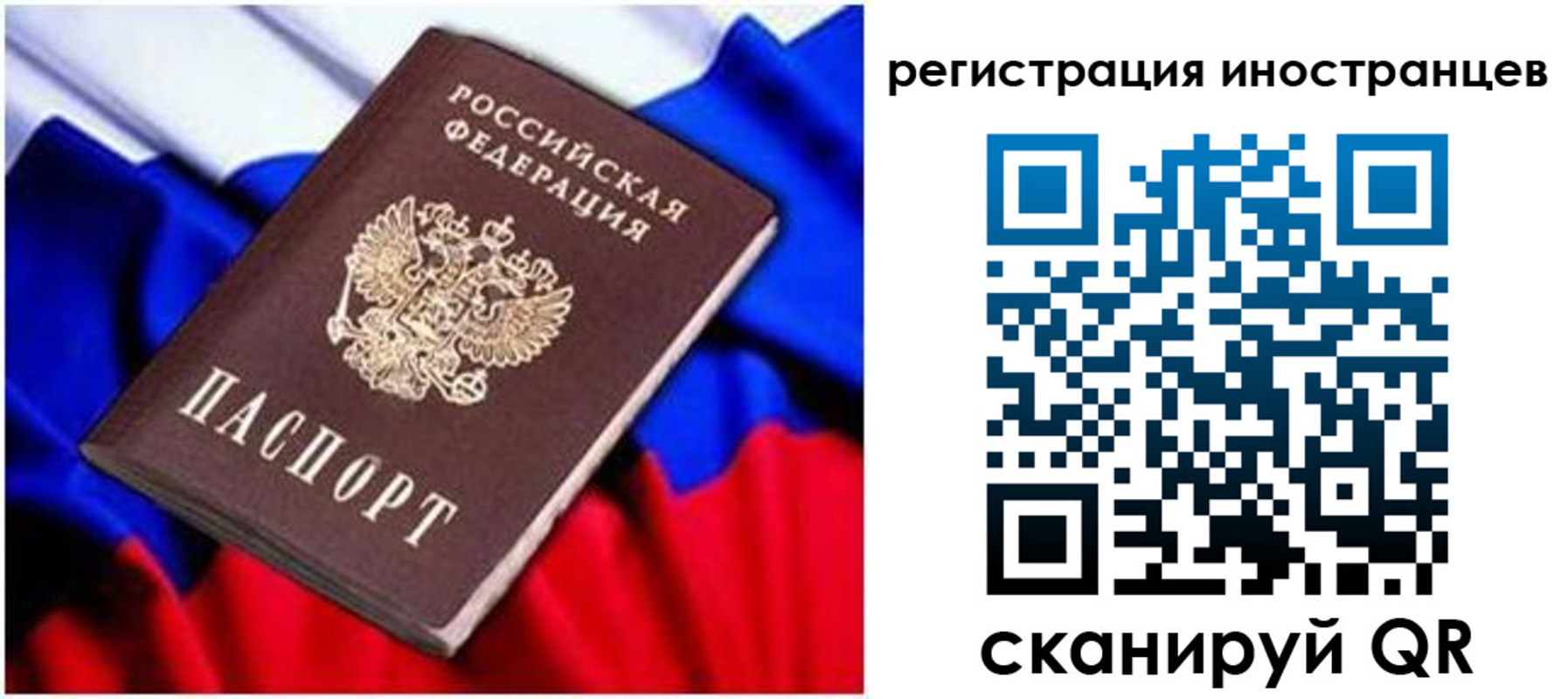 прописка для школы в Светлогорске