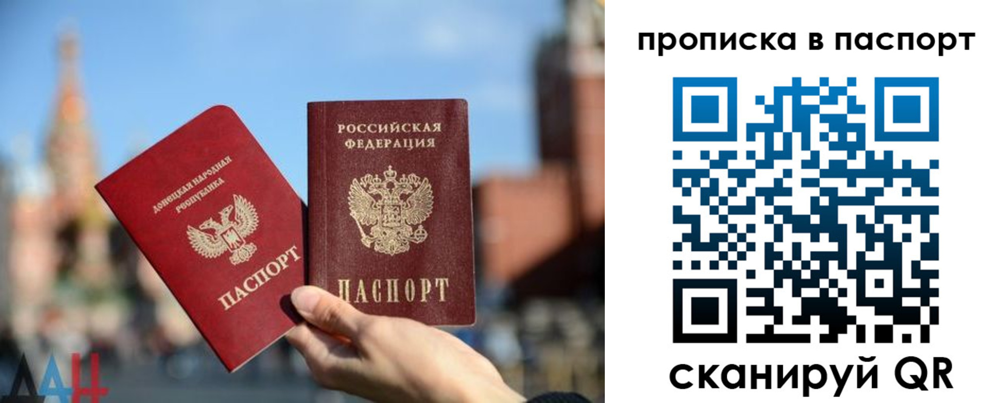 прописка для работы в Светлогорске